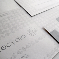 Recydia Card 2